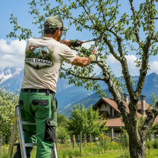 chantier élagage à Douvaine