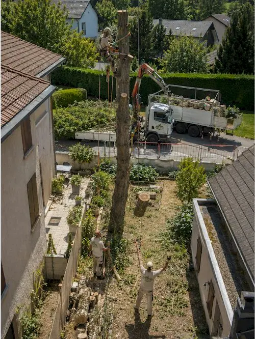 abattage arbres Haute-Savoie 74