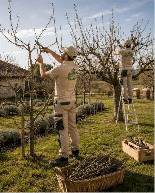 taille arbres fruitiers Haute-Savoie 74