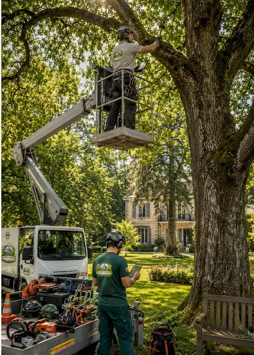 taille sanitaire arbres vallée de l'Arve