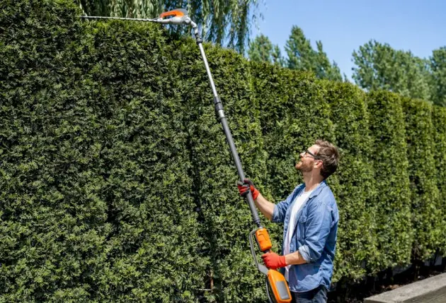 Programme d'entretien saisonnier de votre jardin – Mathieu élagage