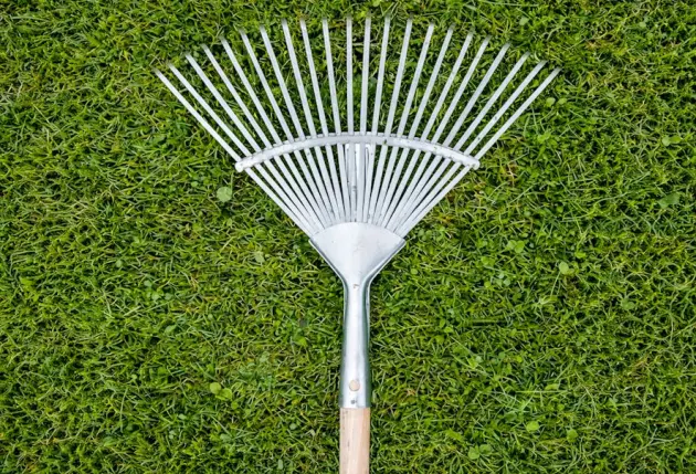 Élagage et entretien de jardin à Bonneville – Mathieu élagage
