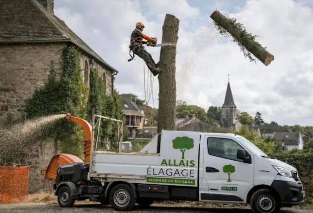 Dessouchage et abattage d'arbres dangereux – Mathieu élagage