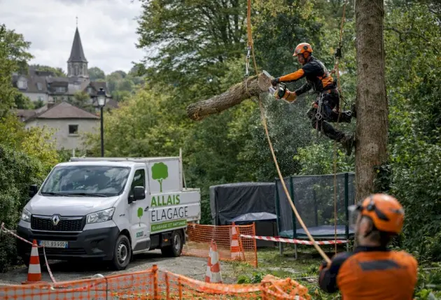 Taille de haies dans les quartiers de Thuet et Dessy – Mathieu élagage