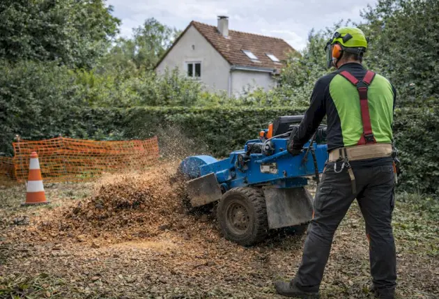 Élagage et entretien de jardin à Annemasse – Mathieu élagage