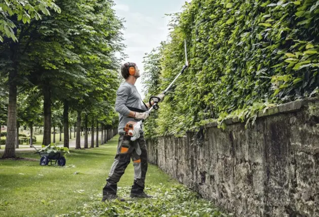Mise en sécurité des arbres exposés au climat montagnard – Mathieu élagage