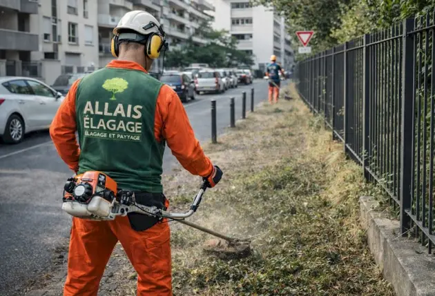 Programme d'entretien saisonnier de votre jardin – Mathieu élagage
